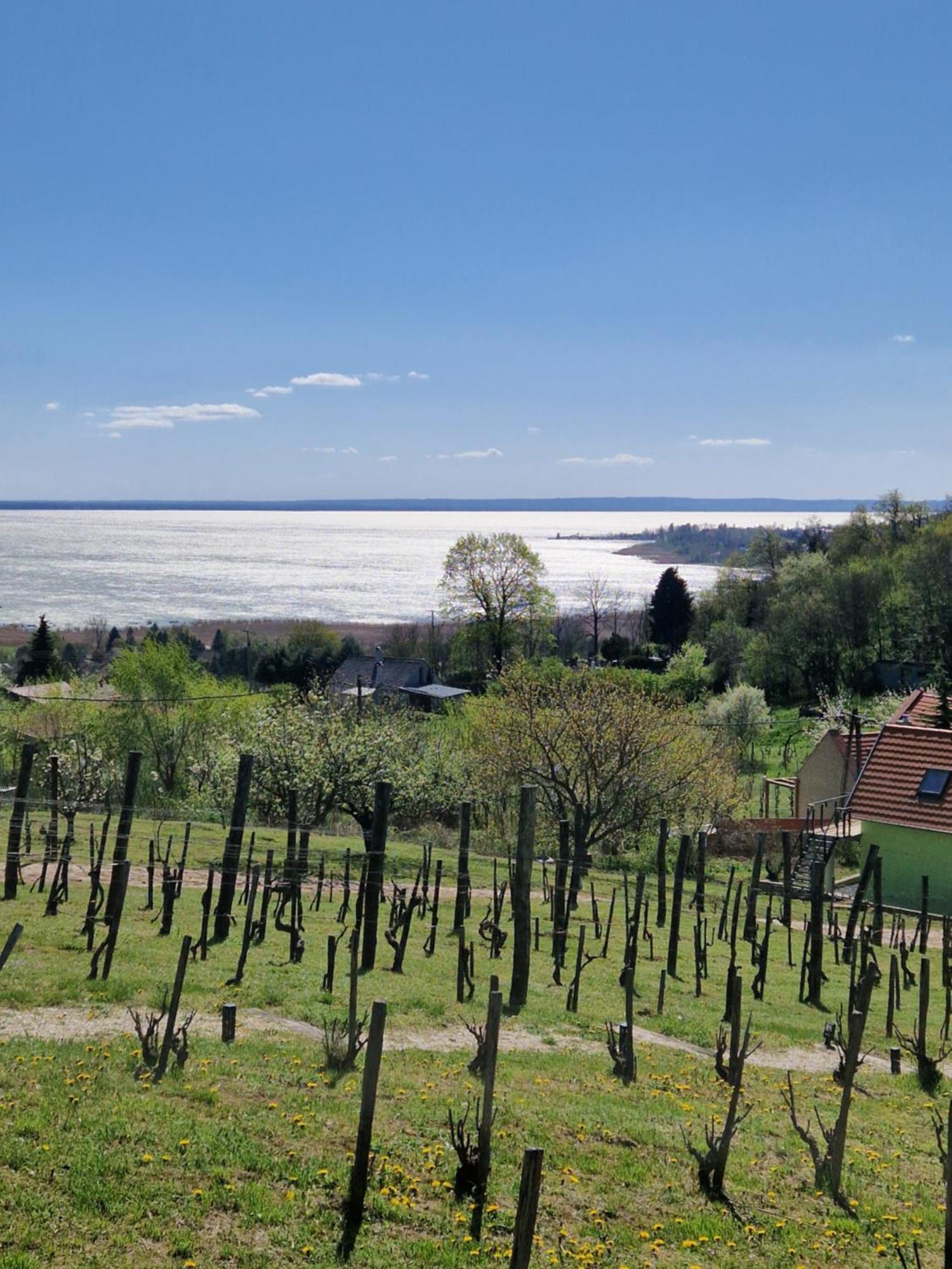 100 Eves Preshaz Villa Badacsonyörs Buitenkant foto