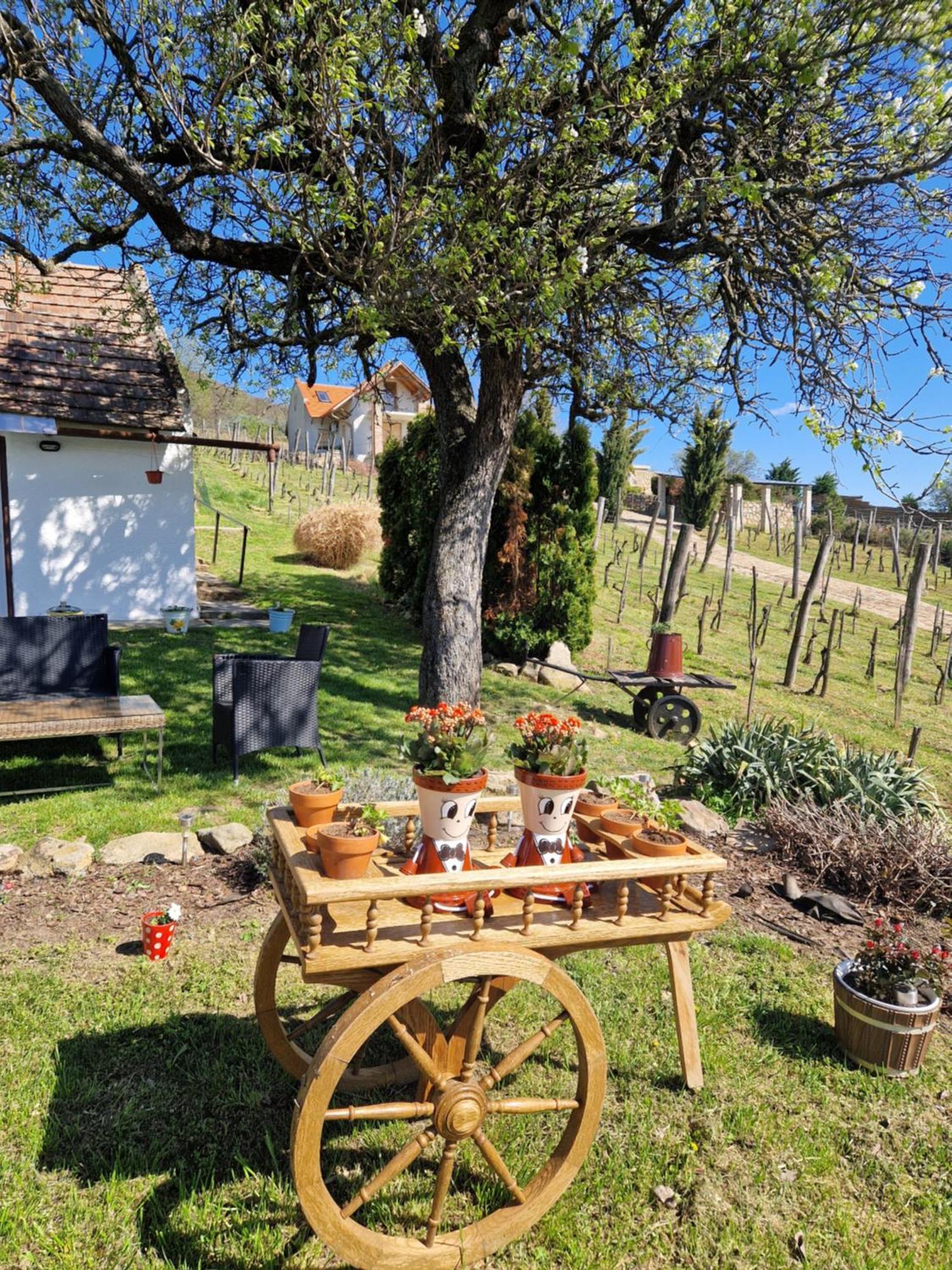 100 Eves Preshaz Villa Badacsonyörs Buitenkant foto