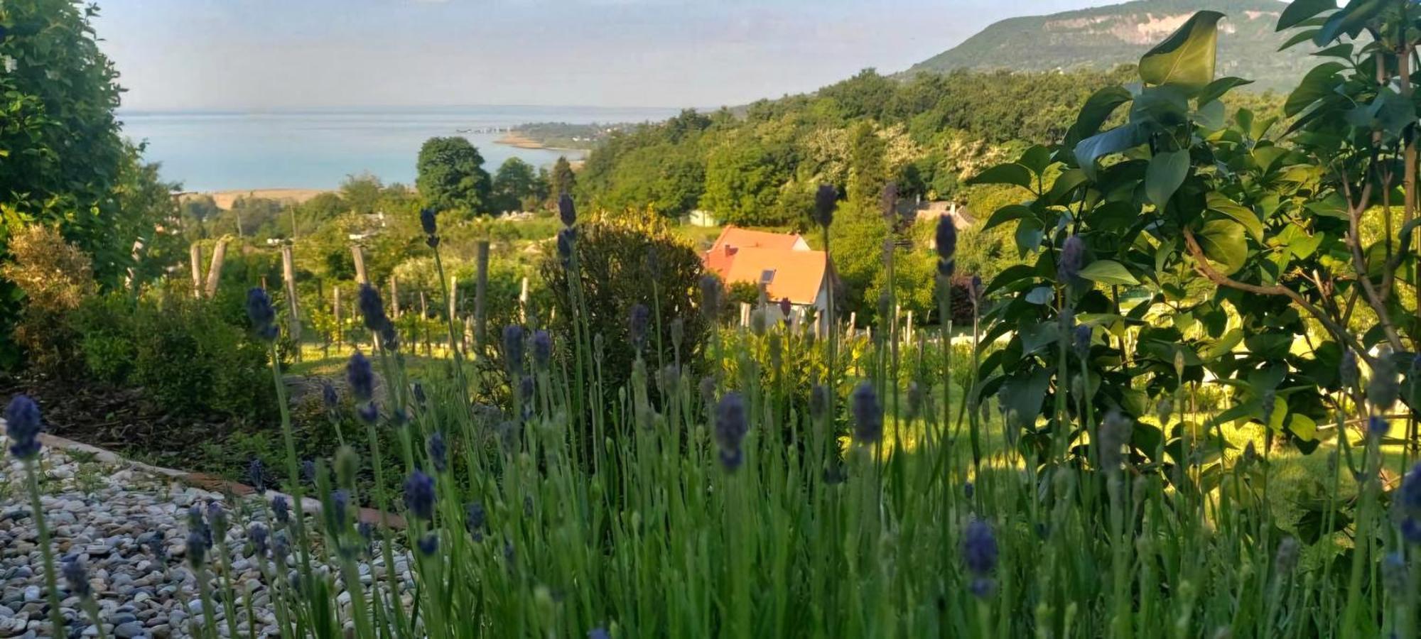 100 Eves Preshaz Villa Badacsonyörs Buitenkant foto